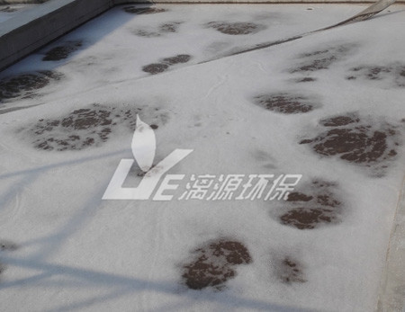 工業(yè)污水處理現(xiàn)代的處理技術(shù)有哪些？