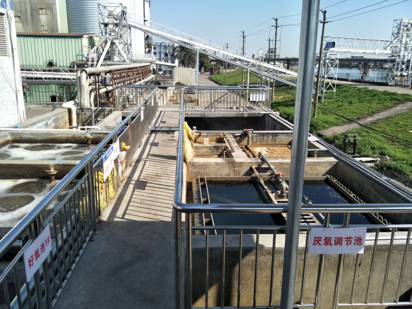 食品廢水植物處理技術(shù)，你知道嗎？